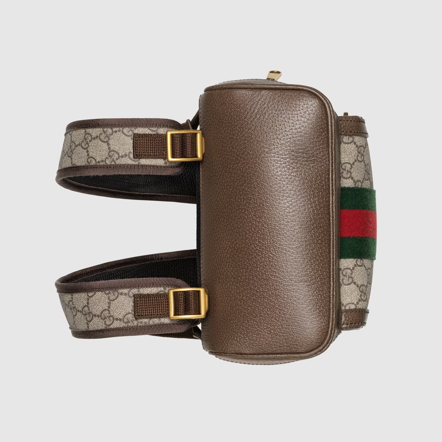 Gucci Ophidia Small Backpack