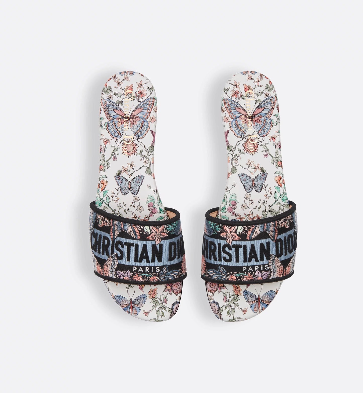 Dior Dway Slide