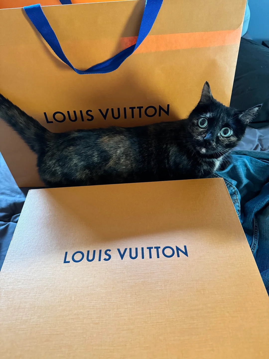 LV