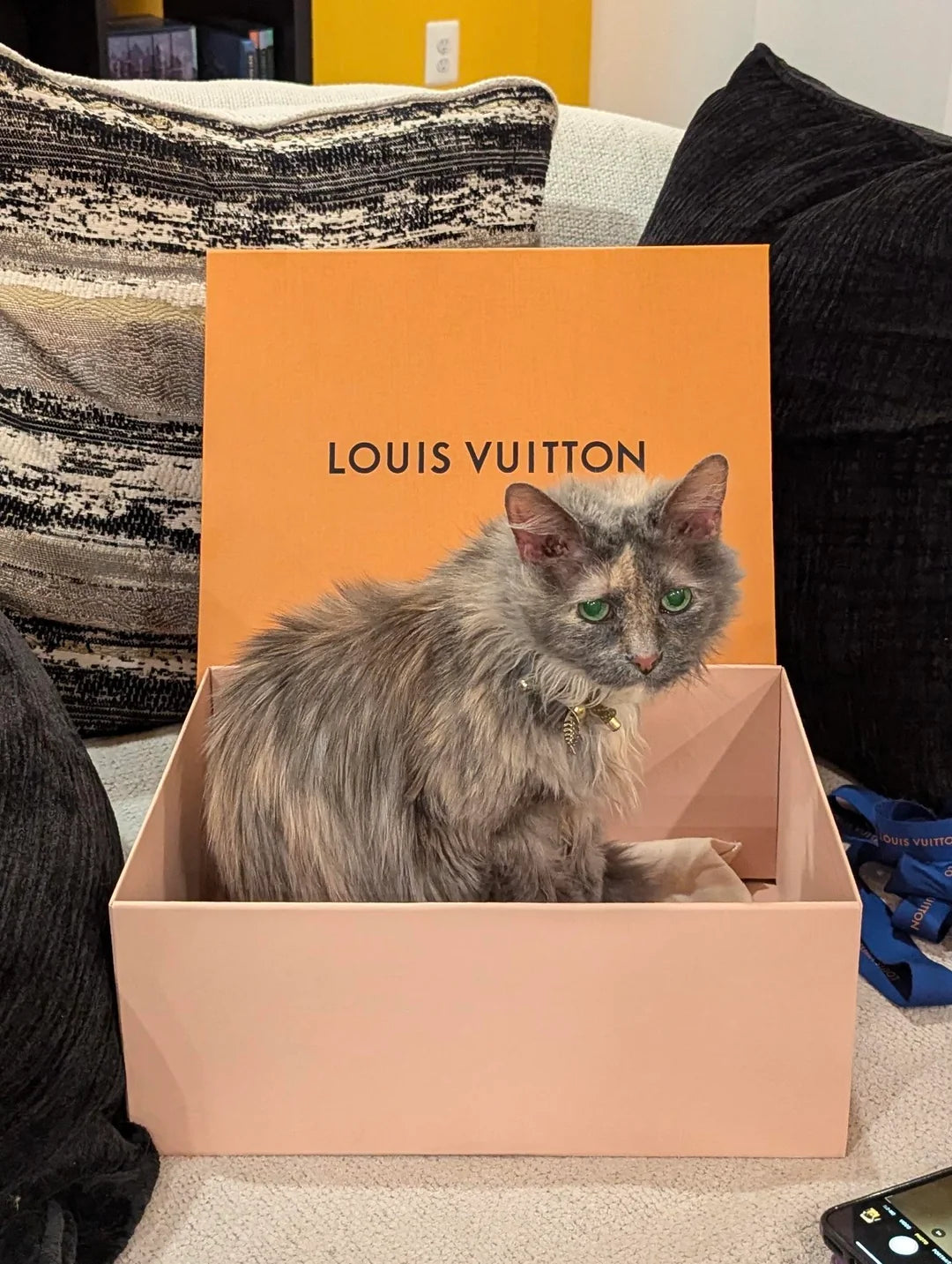 LV
