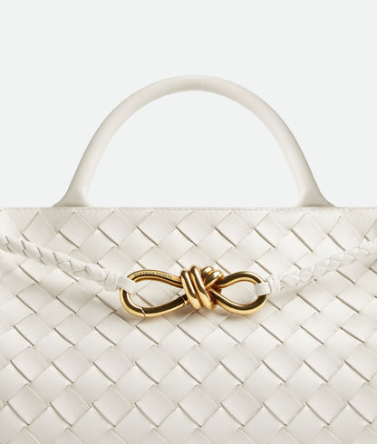 Bottega Veneta East-West Andiamo
