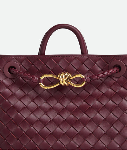 Bottega Veneta Small Andiamo